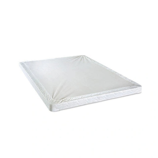 Bird Of Paradise 4" Cal.King-Size Foundation - Ricky's Furniture Outlet (Paso Robles, CA)